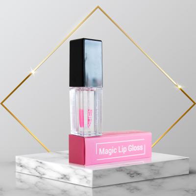 Lip Gloss
